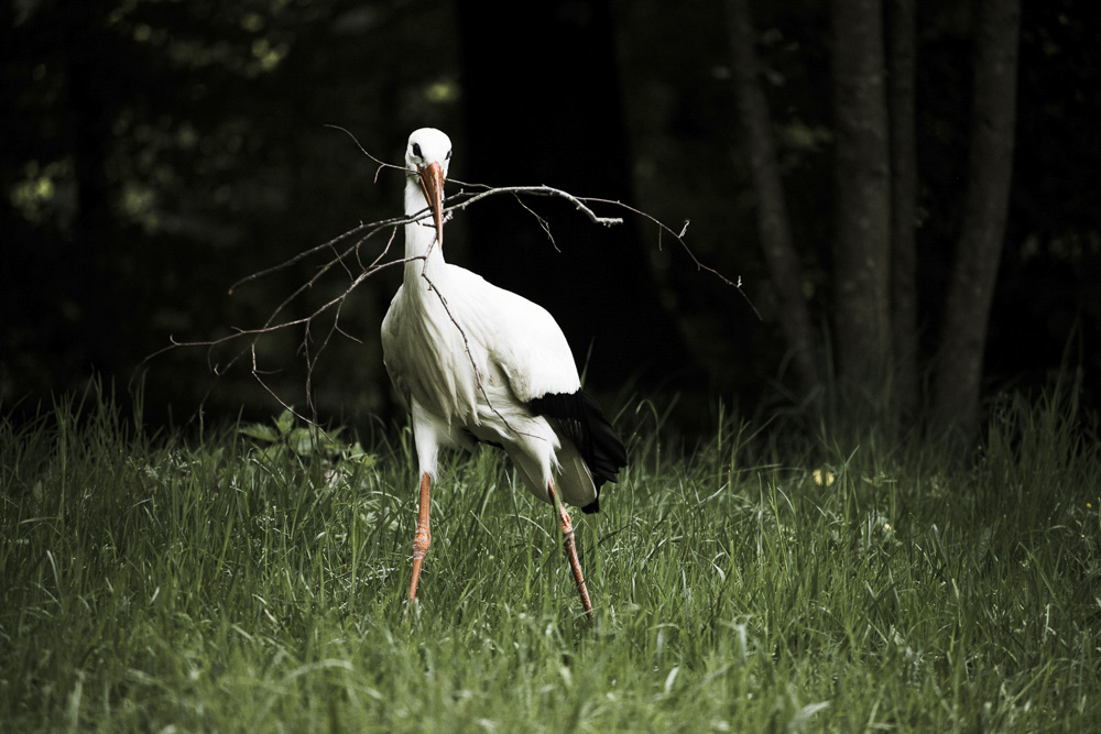 6. Platz Marcus Jackscha